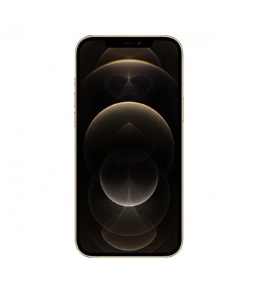 گوشی موبایل اپل مدل iPhone 12 Pro Max دوسیم کارت ظرفیت 6/256 گیگابایت