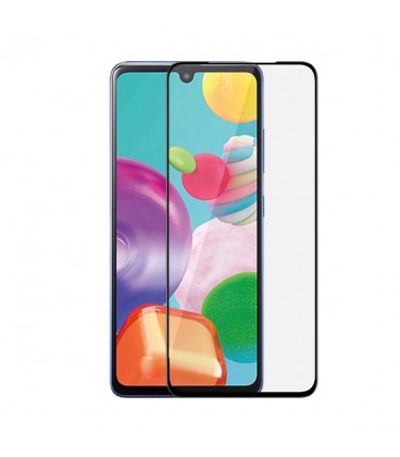 Galaxy A41 Screen Protector