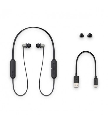 هدفون بی سیم سونی مدل WI-C310 2019