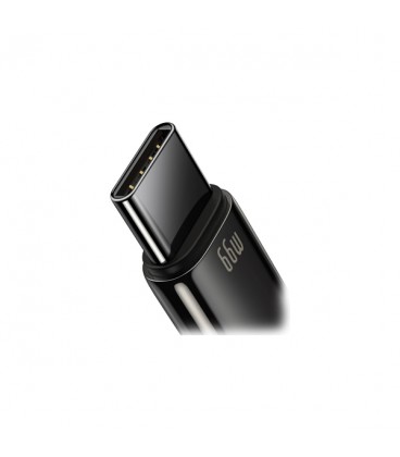 کابل Type C فست شارژ باسئوس مدل Tungsten Gold CATWJ-B01 طول 1 متر