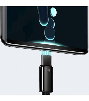 کابل Type C فست شارژ باسئوس مدل Tungsten Gold CATWJ-B01 طول 1 متر