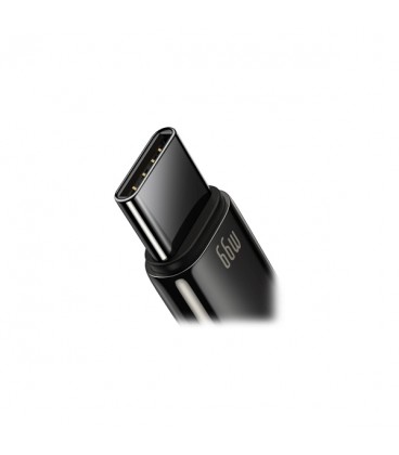 کابل Type C فست شارژ باسئوس مدل Tungsten Gold CATWJ-C01 طول 2 متر