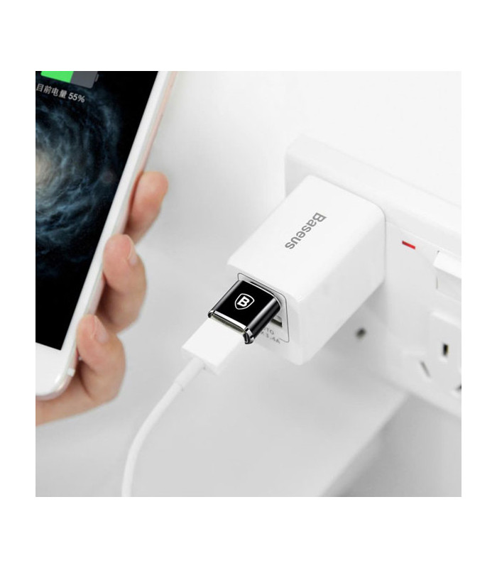 تبدیل USB OTG به Type-C باسئوس مدل Mini CATOTG-01