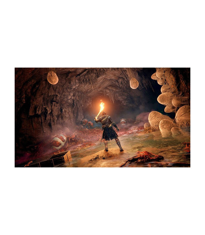 بازی Elden Ring برای پلی استیشن 4