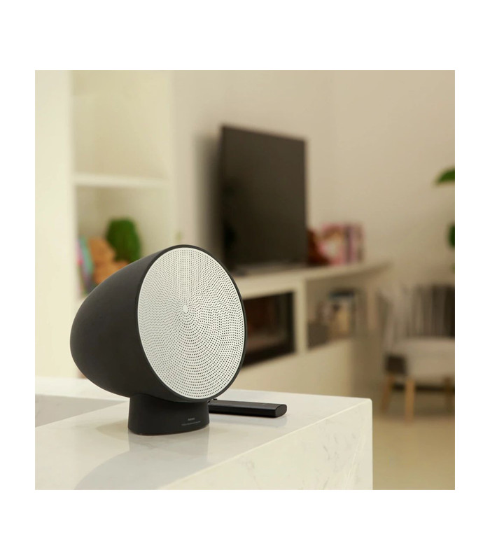 اسپیکر بلوتوثی ریمکس مدل RB-H9