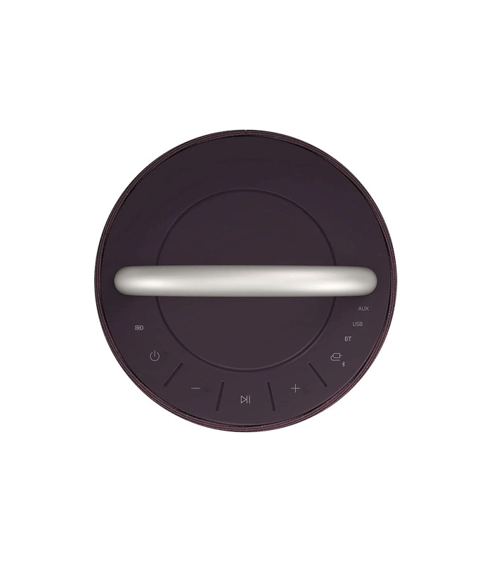 اسپیکر بلوتوثی قابل حمل ال جی مدل XBOOM 360