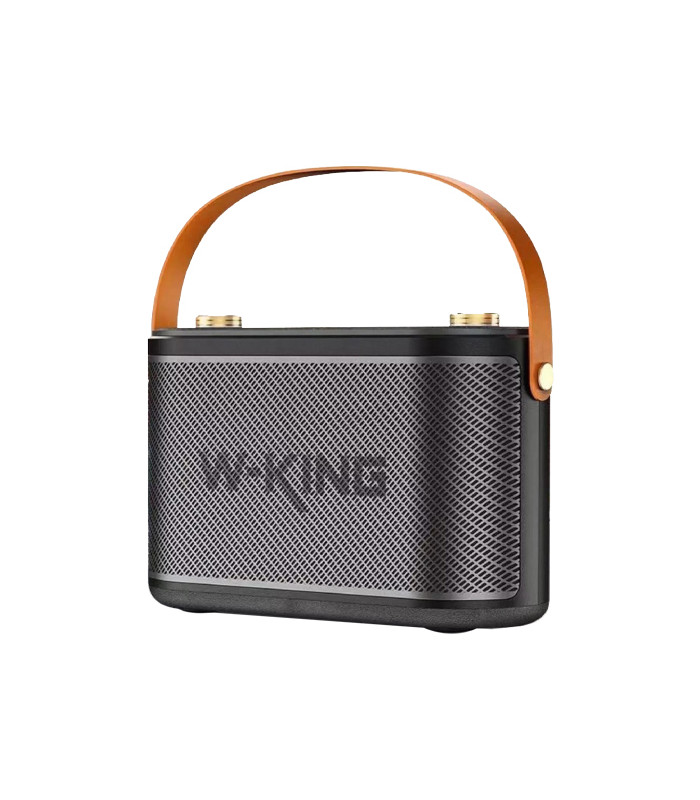 اسپیکر بلوتوثی قابل حمل دبلیو کینگ مدل T10