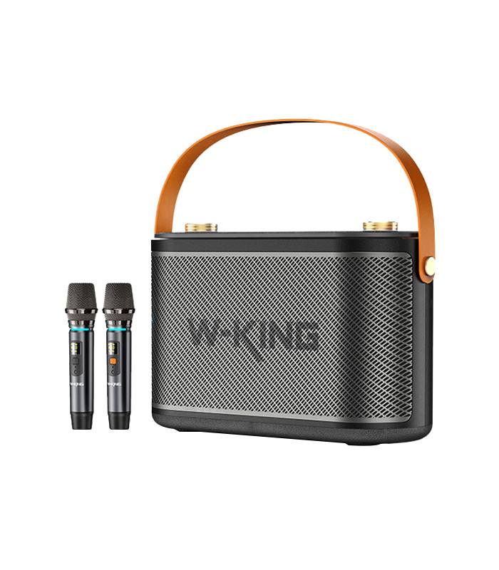 اسپیکر بلوتوثی قابل حمل دبلیو کینگ مدل T10