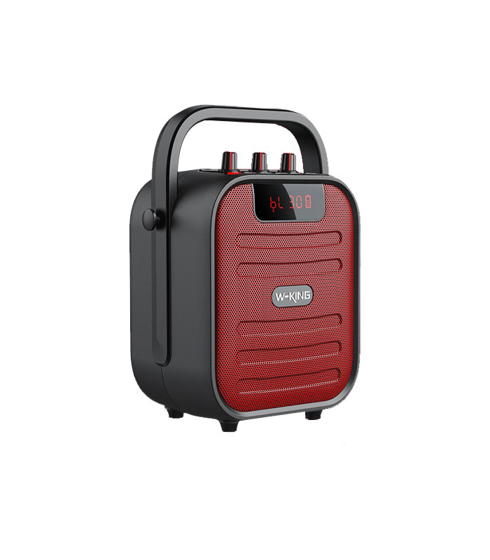 اسپیکر بلوتوثی قابل حمل دبلیو کینگ مدل T5 Mini