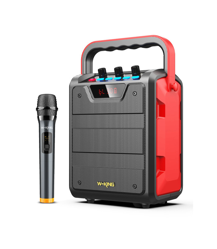 اسپیکر بلوتوثی قابل حمل دبلیو کینگ مدل H2