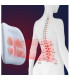ماساژور کمر شیائومی مدل HoPhysio Multifunctional Lumbar DH136A