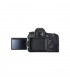 دوربین عکاسی کانن EOS 6D Mark II Kit EF 24-105mm f/4L IS II USM