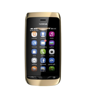گوشی موبایل نوکیا مدل Nokia Asha 308 دو سیم کارت