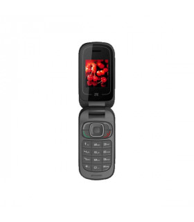 گوشی موبایل زد تی ای مدل ZTE R621