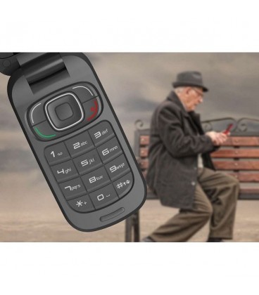 گوشی موبایل زد تی ای مدل ZTE R621