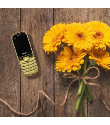 گوشی موبایل ارد مدل GB101C دو سیم کارت