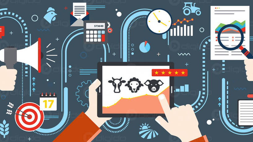 سنجش بنچمارک