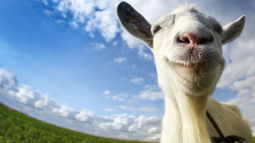 بازیهای آرامشبخش مناسب قرنطینه Goat Simulator