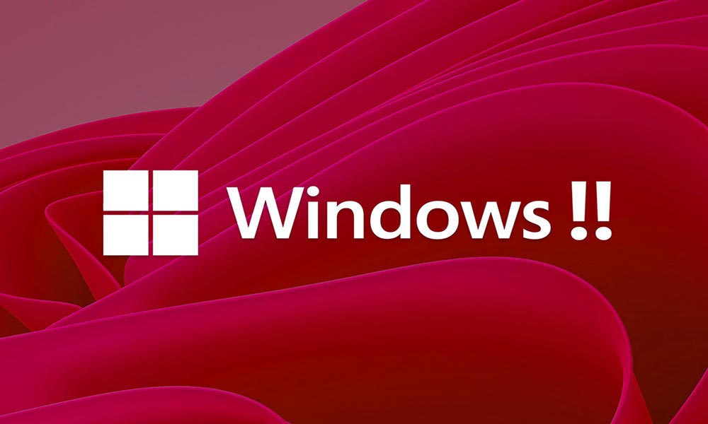 windows 11