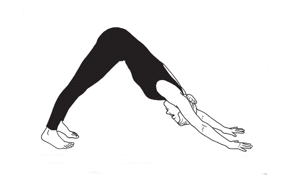 حرکت سگ سرپایین